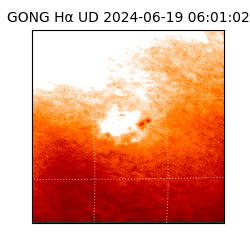 gong - 2024-06-19T06:01:02