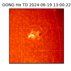 gong - 2024-06-19T13:00:22