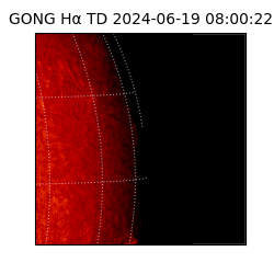 gong - 2024-06-19T08:00:22