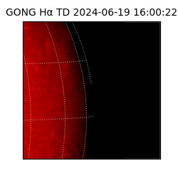 gong - 2024-06-19T16:00:22
