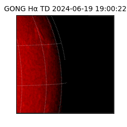gong - 2024-06-19T19:00:22