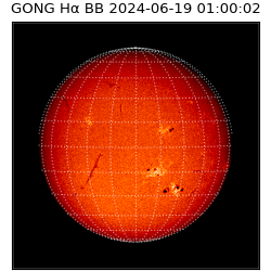 gong - 2024-06-19T01:00:02