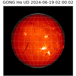 gong - 2024-06-19T02:00:02
