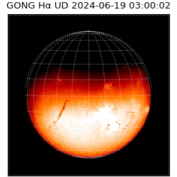 gong - 2024-06-19T03:00:02