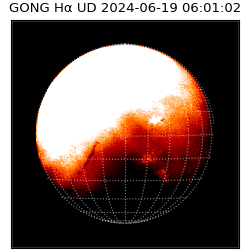 gong - 2024-06-19T06:01:02