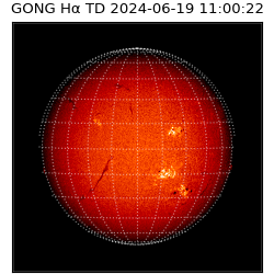 gong - 2024-06-19T11:00:22
