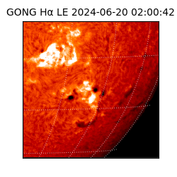 gong - 2024-06-20T02:00:42