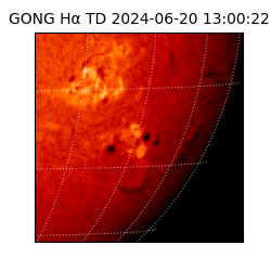 gong - 2024-06-20T13:00:22