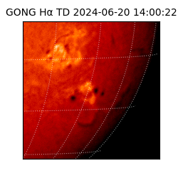 gong - 2024-06-20T14:00:22