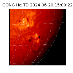 gong - 2024-06-20T15:00:22