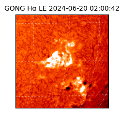 gong - 2024-06-20T02:00:42