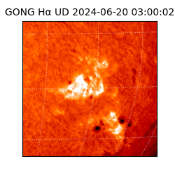 gong - 2024-06-20T03:00:02