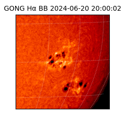 gong - 2024-06-20T20:00:02