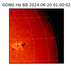 gong - 2024-06-20T01:00:02