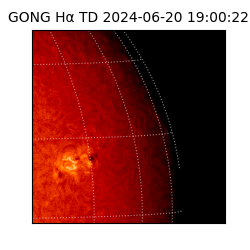 gong - 2024-06-20T19:00:22