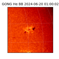 gong - 2024-06-20T01:00:02