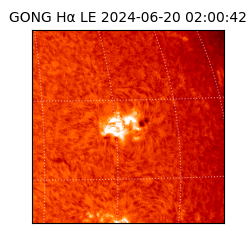 gong - 2024-06-20T02:00:42