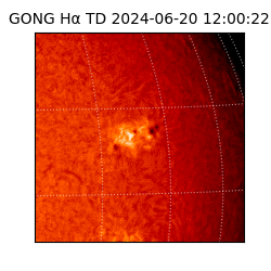 gong - 2024-06-20T12:00:22