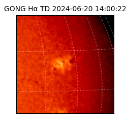 gong - 2024-06-20T14:00:22