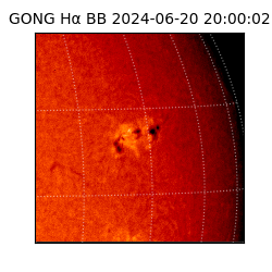 gong - 2024-06-20T20:00:02