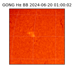 gong - 2024-06-20T01:00:02