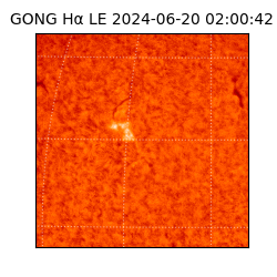 gong - 2024-06-20T02:00:42