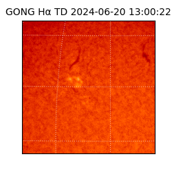 gong - 2024-06-20T13:00:22