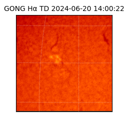 gong - 2024-06-20T14:00:22