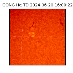 gong - 2024-06-20T16:00:22
