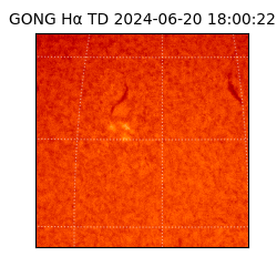 gong - 2024-06-20T18:00:22