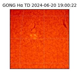 gong - 2024-06-20T19:00:22