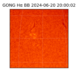 gong - 2024-06-20T20:00:02