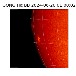 gong - 2024-06-20T01:00:02