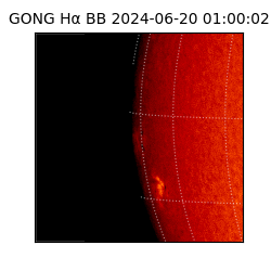 gong - 2024-06-20T01:00:02