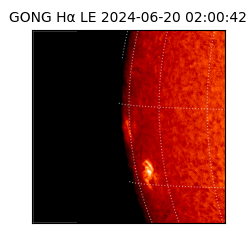 gong - 2024-06-20T02:00:42
