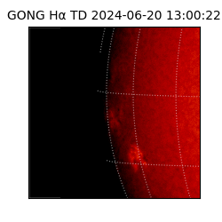 gong - 2024-06-20T13:00:22