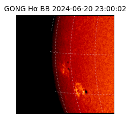 gong - 2024-06-20T23:00:02
