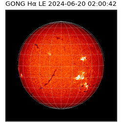 gong - 2024-06-20T02:00:42