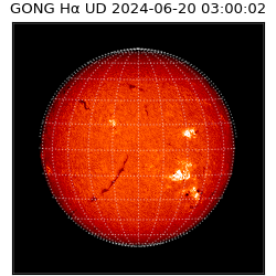gong - 2024-06-20T03:00:02
