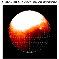 gong - 2024-06-20T04:03:02