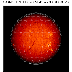 gong - 2024-06-20T08:00:22
