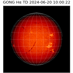 gong - 2024-06-20T10:00:22