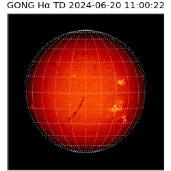 gong - 2024-06-20T11:00:22