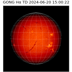 gong - 2024-06-20T15:00:22