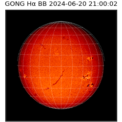 gong - 2024-06-20T21:00:02