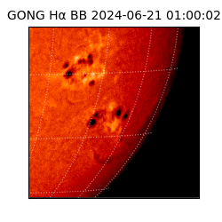 gong - 2024-06-21T01:00:02