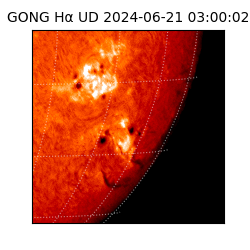 gong - 2024-06-21T03:00:02