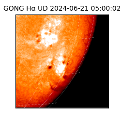 gong - 2024-06-21T05:00:02