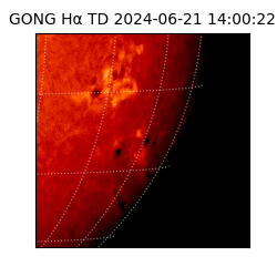 gong - 2024-06-21T14:00:22