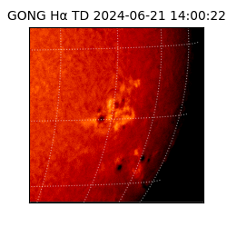 gong - 2024-06-21T14:00:22